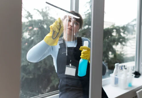 Nettoyage de vitres intérieures et extérieures à Saint-Gorgon